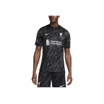 Nike FCDri-Fit FW24 Liverpooli Jalgpalliklubi Logo Tikitud Kogu Pind Tr&uuml;kitud Mugav Vabaaja L&uuml;hikeste Varrukatega Jalgpallis&auml;rk Meeste Topid FN8802-061 L