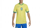 Nike Brasiilia 2024 kodus&auml;rk Kollane/Roheline Spark FJ4284-706 XXL