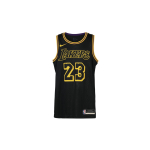 Nike NBA Lakers Lebron James Swingman S&auml;rk DJ1433-011 S must