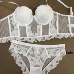 Prantsuse pitsitikandiga pikk Push Up rinnahoidjakomplekt Seksikas naiste aluspesu Fish Bone Body Shaper top hingav rinnahoidja ja alusp&uuml;kste komplekt 85C valge