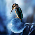 DIY 5D teemanttikandid t&auml;isteemantmaaling n&auml;put&ouml;&ouml;, mis hakkab l&otilde;hkema linnu ristpistes teemant 30x30CM