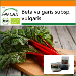 SAFLAX - Aed kotis - Orgaaniline - &Scaron;veitsi mangold - Rabarber - 50 seemet - Substraadiga sobivas p&uuml;stises kotis - Beta vulgaris