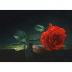 5D Teemantmaali Punane Roos Lastele K&auml;sit&ouml;&ouml;komplekt T&auml;ielik puurimine Teemanttikandid Mosaiik Lill K&auml;sitsi valmistatud Kingitus Kunst dets. Full Round 20x30CM