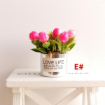 1:12 minipotitaime lillepott-nukumaja miniatuursed lilled haldjaaia kaunistus nukumaja kaunistus Bonsai laste m&auml;nguasi E