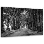 Feeby l&otilde;uenditr&uuml;kk, puude metsaavenue 60x40 must/valge