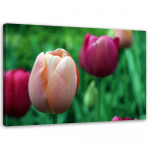 L&otilde;uendiprint Tulip Pink Flowers 60x40 roosa