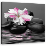 L&otilde;uenditr&uuml;kk Stones Pink Flower Zen 30x30 must