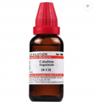 Dr Willmar Schwabe India Caladium Seguinum Dilution 30 CH 30 ml