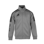 Adidas Vabaaja Spordimoe Seisva Kraega Jakk Unisex Jakid TR30JR2MT-GYB S