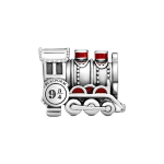 Pandora Harry Potter Sarja Rongi Ripats Meeste ehted 798624C01 Silver
