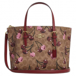 Coach Mollie Tass 25 Signature L&otilde;uend Kirsitr&uuml;kk Beež Mitmev&auml;rviline Kuldne Riistvara CZ772-IMTAM Basic Set (Bag+Dust Bag)