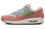 Nike Air Max 1 'Light Madder Root' DV3196-800 44