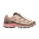 Salomon XT-6 'Mahogany Rose Earth Brown' 42