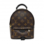 [Kasutatud] Louis Vuitton Palm Springs Mini 'Brown Monogram Canvas' - Hea #1W53ZKK ONE SIZE