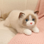 Kaisutatavad Elutruud Ragdoll Kassi Pl&uuml;&uuml;sist M&auml;nguasjad Kohevad Mugavad Lamavad Lemmiklooma Kassikujuline Nukk Soe Lastele Rahustav Kutsika Nukk Kawall Kodu Kaunistus 45cm valge