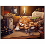 5D DIY Wipe Nahast kingad Kasside teemanttikandid T&auml;isekraan t&auml;ispuur Ristpistes K&auml;sit&ouml;&ouml; Stitch Kodu seinakaunistus 30x25CM