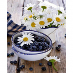 K&ouml;&ouml;gikaunistus Teemanttikandid Puuviljad Kodukingitus DIY Decoratif k&auml;sit&ouml;&ouml; teemantmaal 20X30CM