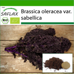 SAFLAX &ndash; Orgaaniline &ndash; Lehtkapsas &ndash; Redbor &ndash; 50 seemet &ndash; Potisubstraadiga paremaks kasvatamiseks &ndash; Brassica oleracea