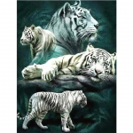 Teemantmaal ;tiiger ; Loomade 5D DIY t&auml;is&uuml;mmargune teemanttikandi komplekt kivist ristpistega kaunistus mosaiikpildiga kingitus Full Round 20x30CM