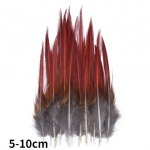 Looduslikud faasanisuled Paabulinnusuled Kotkas V&auml;ike n&auml;ss K&auml;sit&ouml;&ouml; Aksessuaarid Ehted Looming P&uuml;hadekaunistus 20Pcs