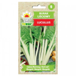 Burak liściowy Lucullus nasiona 5g warzyw do ogrodu świeże duże plony