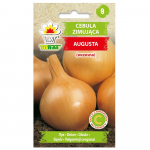 Augusta talvine sibul, k&ouml;&ouml;giviljaseemned aeda, v&auml;rske, suur saak