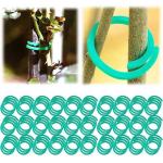 100 tk. Taimede tugiklambrid Lipsud Taimne v&otilde;re vaias kasvuhoone Tomat Aiat&ouml;&ouml;riistad Viinapuuklambrid Taimelillede kangi silmus haaratsi kinnitusklambrid