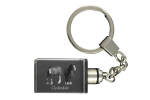 Clydesdale - Crystal pendant with photo of a horse, illuminated pendant, unique gift by Art-Dog brand