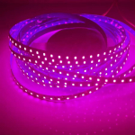 12V 24V 2835 LED-riba valgusdioodlint 5m 10m 120LED/m Pehme lambiriba 8mm PCB valge/soe valge/sinine/punane/roosa/roheline/ 12V 5M