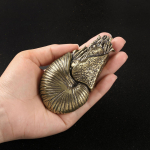 Teepeen, merelooma skulptuur Lucky kingib elutruud kogutavad mereelud Nautiluse kujuke