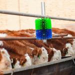 Cattle Scratching Brush, Cleaning Tool, 7.5" X 8.5" Efficient Horse for Green and Blue