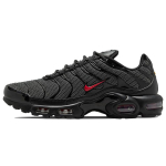 Nike Air Max Plus Metallv&otilde;rk Must Punane DO6383-001 40