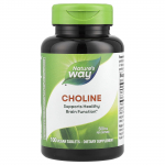 Nature's Way, koliin, 500 mg, 100 taimetabletti