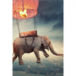 DIY 5D teemantmaaling elevant t&auml;is &uuml;mmargune vaik rohumaa teemanttikandid loomad mosaiik kividest pildid kodukaunistus Full Round 20X30CM