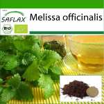 SAFLAX - Orgaaniline - Sidrunmeliss - 1000 seemet - Potisubstraadiga paremaks kasvatamiseks - Melissa officinalis
