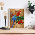 5D DIY Teemantmaal Armas papagoi ristpiste komplekt Mosaiik Teemanttikandid Roos T&auml;is &uuml;mmargune kandiline puur Kodukaunistus Round 30x40cm