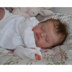 48 cm Reborn Baby Doll Rosalie Elutruu implanteeritud juustega t&uuml;drukule pehme nukum&auml;nguasi 48cm Cloth Body