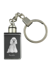 Poodle - Crystal key ring with dog photo, illuminated key ring, unique gift by Art-Dog brand