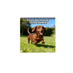 2026 Seinakalender, L&otilde;busa teemaga kalender, L&otilde;bus jutu kingitus, Ideaalne valik koduseks kasutamiseks. One Size