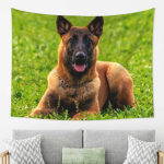 Belgia Lambakoer Malinois Gobel&auml;&auml;n Seinale Riputatav Esteetiline Kodukaunistus Gobel&auml;&auml;nid Elutuppa Magamistuppa 150x100cm(60x40in) black