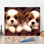 L&otilde;uend numbrite maalimine Digitaalne &otilde;limaal Numbrid &otilde;limaal DIY maal numbrite j&auml;rgi K&auml;sitsi valmistatud 40x50cm no frame