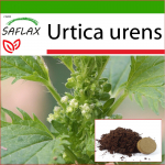 SAFLAX - Koeran&otilde;ges - 150 seemet - Potisubstraadiga paremaks kasvatamiseks - Urtica urens