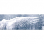Angel Wings Abstraktsed l&otilde;uendiplakatid ja -tr&uuml;kised Must-valge Moodne seinakunst L&otilde;uendimaalid Elutoa seinapildid 20*40cm