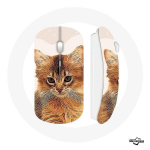 Juhtmeta hiir Somaalia kassit&otilde;ug