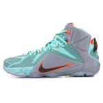 Nike Lebron 12 NSRL 684593-301 44