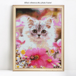 5D DIY Teemantmaaling Loomade Kasside T&auml;is&uuml;mmargused Tikand Rhinestone Pildid 20X30