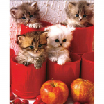 Teemantmaali tass Kitten t&auml;isringikujuline teemanttikandid Ristpistes seinakleebis Kodukaunistus 20X30CM