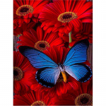 5D teemantmaal Lillede ja liblikatega t&auml;is&uuml;mmargune puur Teemanttikandid Ristpiste 20X30CM