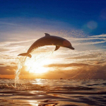 T&auml;isruut/&uuml;mmargune 5d Teemantmaal Lille Seinakunst DIY Teemanttikandid Kunst Rhinestones Pildid Kodukaunistus Full Round 25x25CM punane