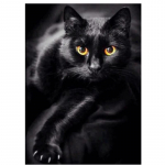HUACANi teemantmaaling must kass t&auml;isnurkse puuri ristpiste m&uuml;&uuml;k 5D DIY teemanttikandid loomakunst kivist kodukaunistus Full Square 20*30 cm